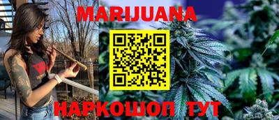 крисы Новодвинск