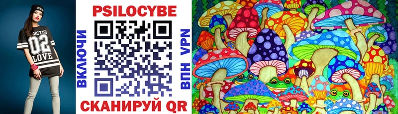Псилоцибиновые грибы Magic Shrooms  сколько стоит  Камышин 