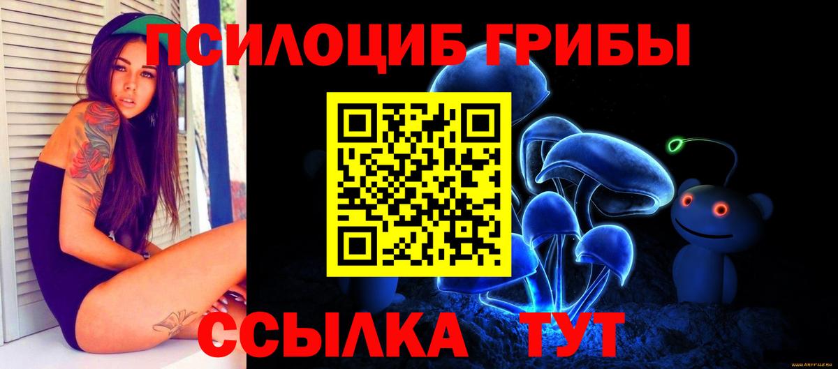 Камышин  Галлюциногенные грибы Psilocybine cubensis  Вход с VPN  Псилоцибиновые грибы мицелий 
