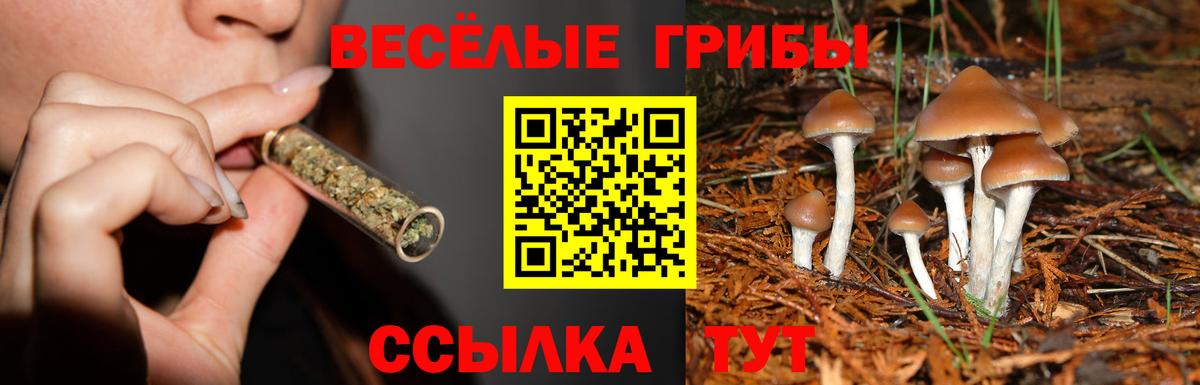 Псилоцибиновые грибы прущие грибы Камышин